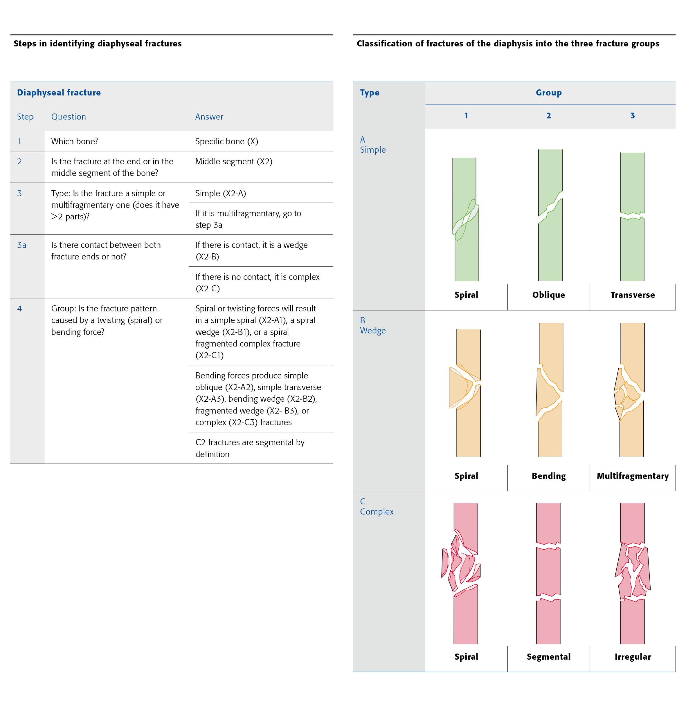 AO Classification