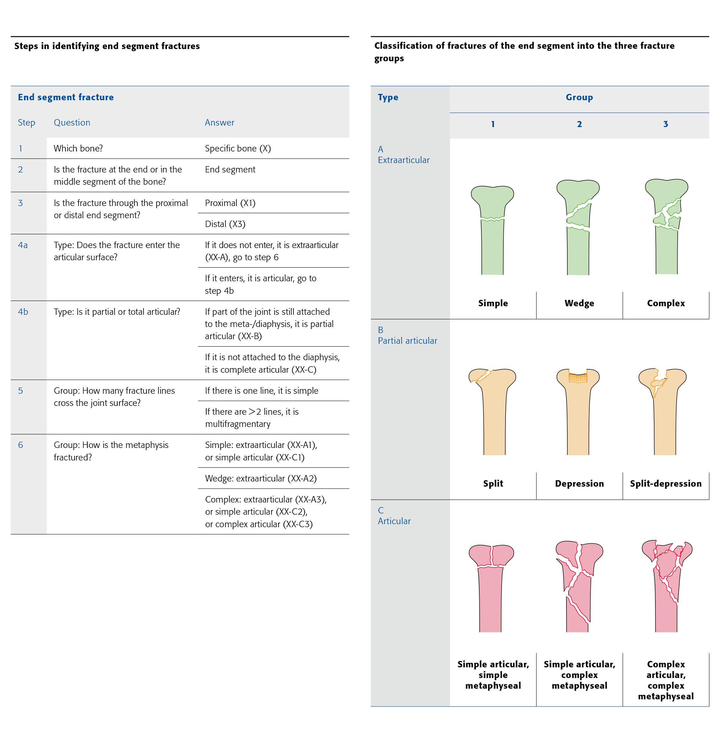 AO Classification