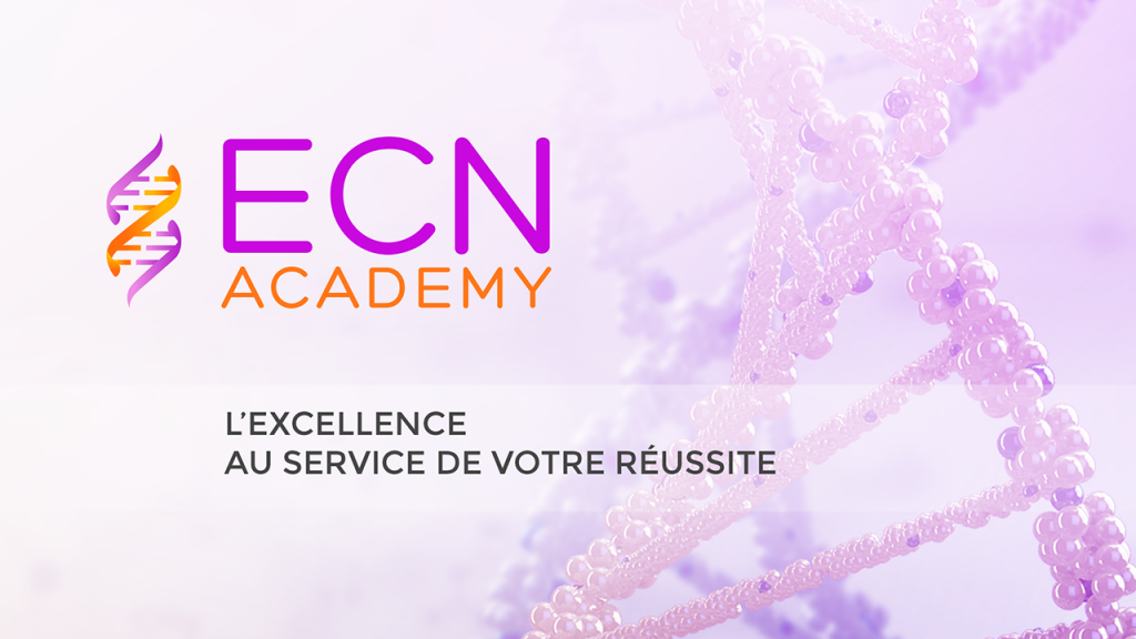 ecn-academy-1024x576